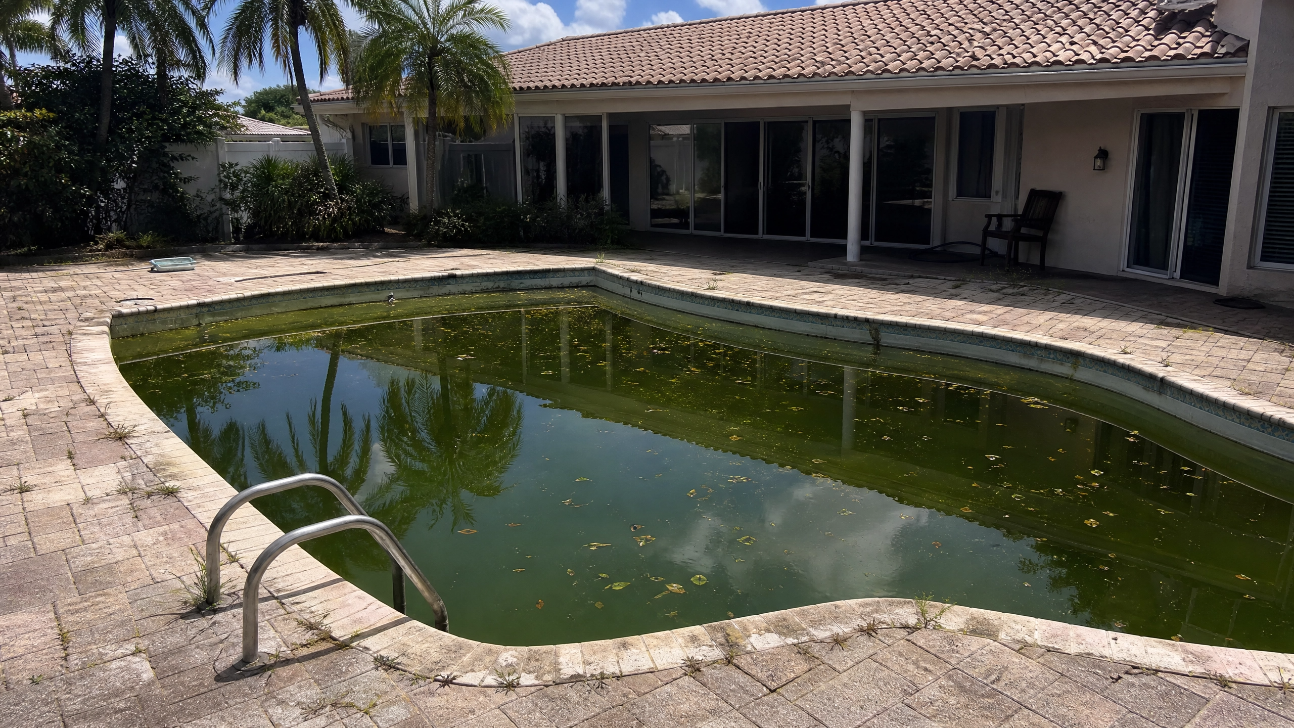 Pool before PM Pools treatment &mdash; green and neglected